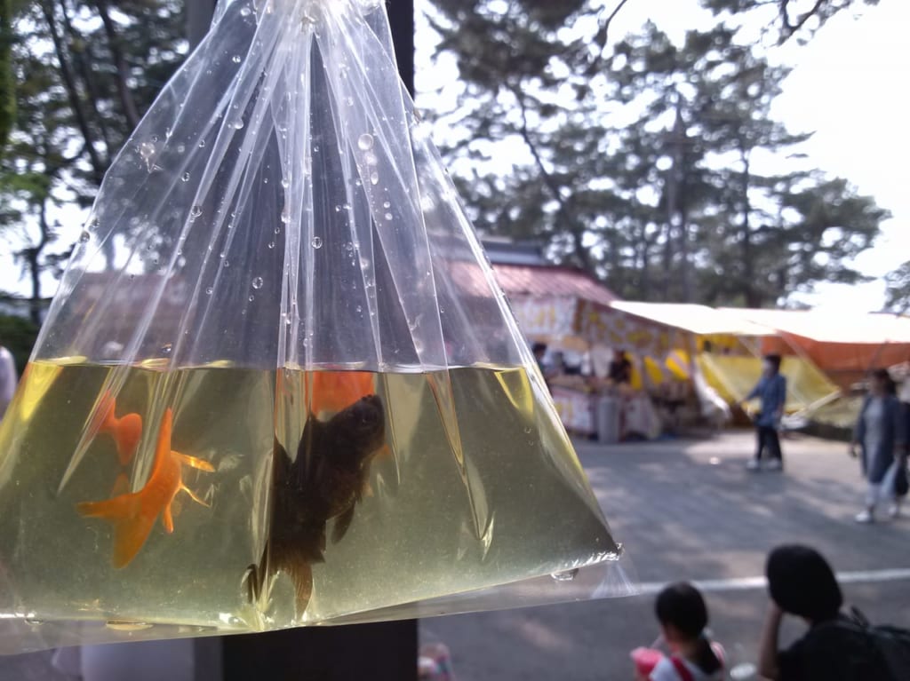 星置神社　例大祭