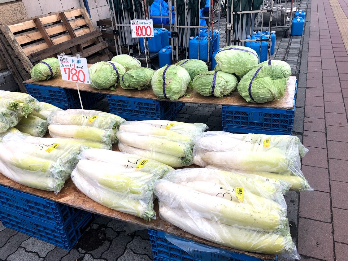 札幌大球　漬物用野菜