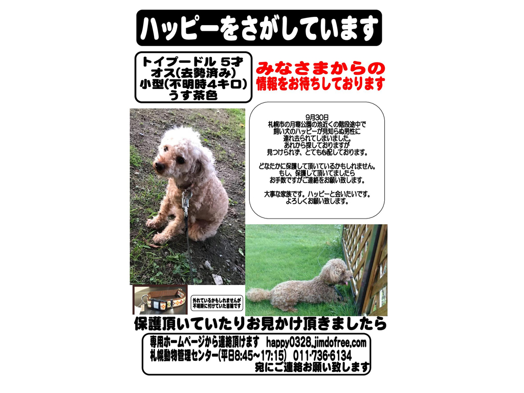 【札幌市西区手稲区】月寒公園迷子犬（トイプードル）ハッピーその後の進展は？（2019/12/11）
