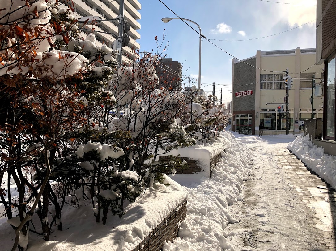 札幌市西区手稲区 雪の少ない冬から一変 二日連続の雪で雪景色に 号外net 札幌市西区 手稲区