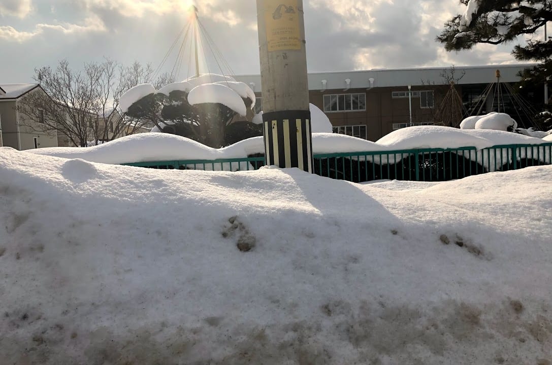 札幌　雪