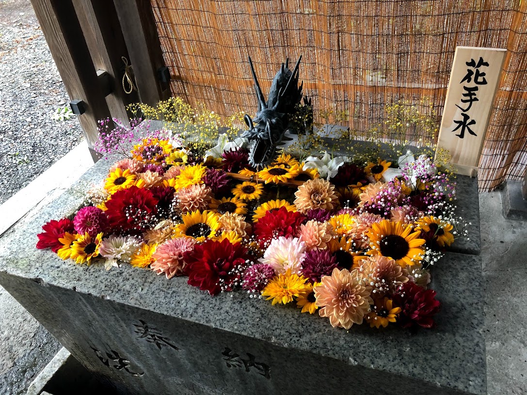 花手水　花詣　札幌諏訪神社