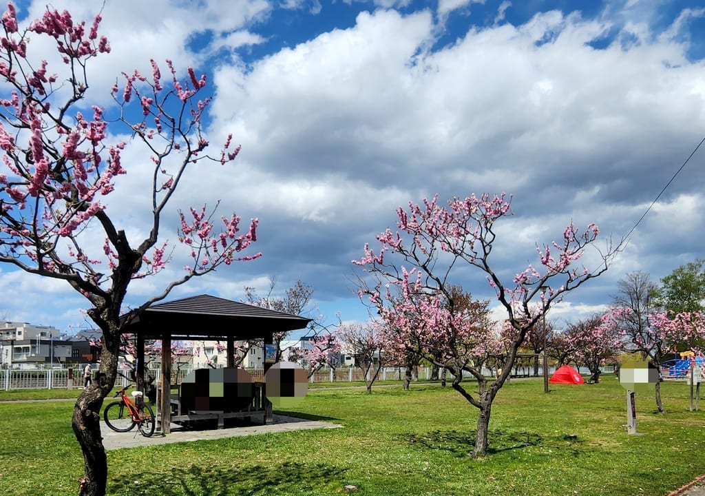 発寒河畔公園