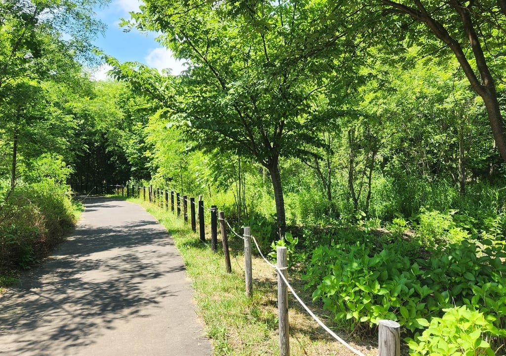 五天山公園