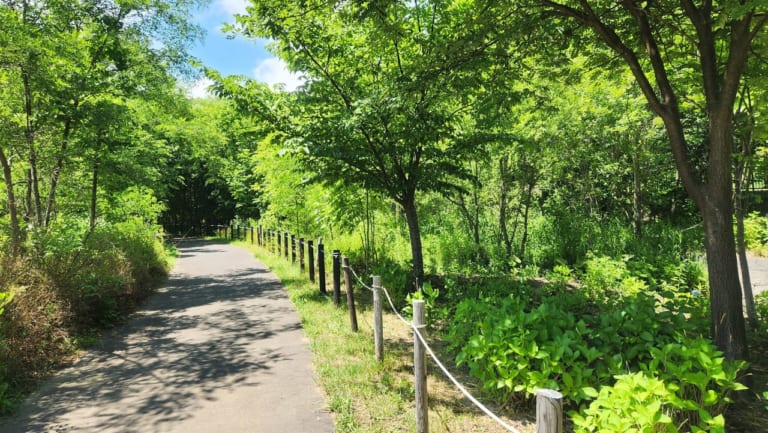 五天山公園