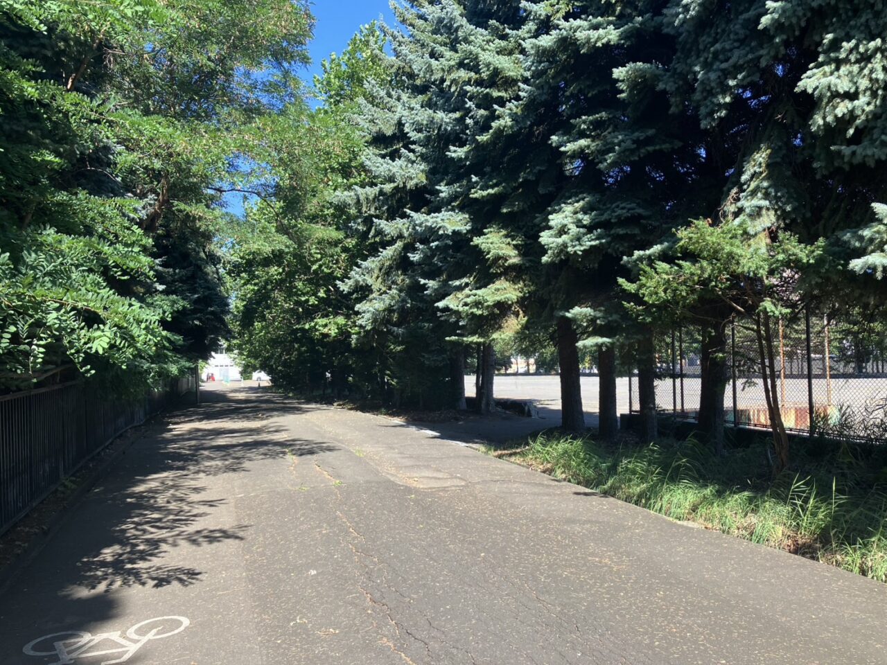 手稲稲積公園