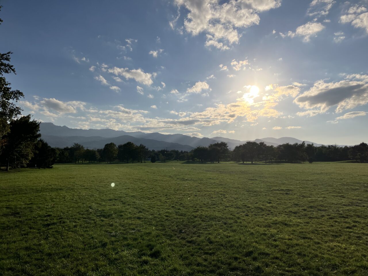 前田森林公園