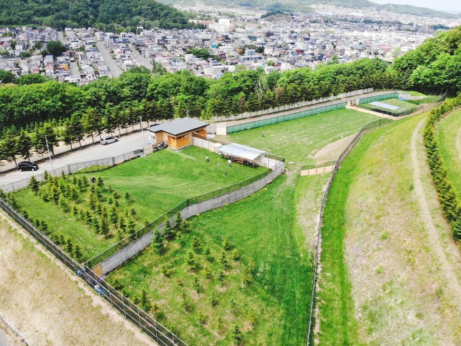 わんダフルオータムフェスタ2025