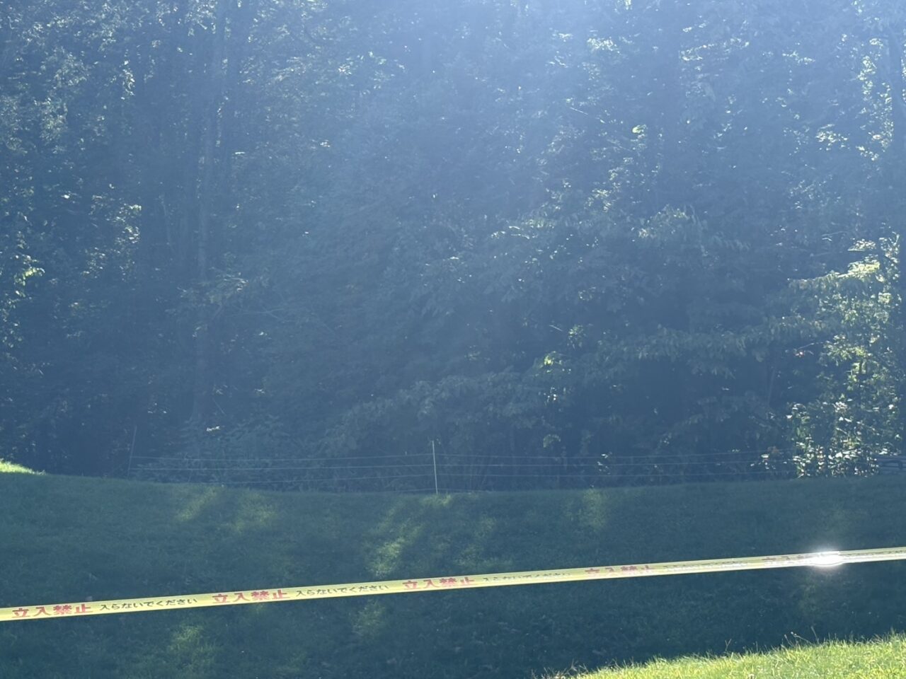 西区平和丘陵公園