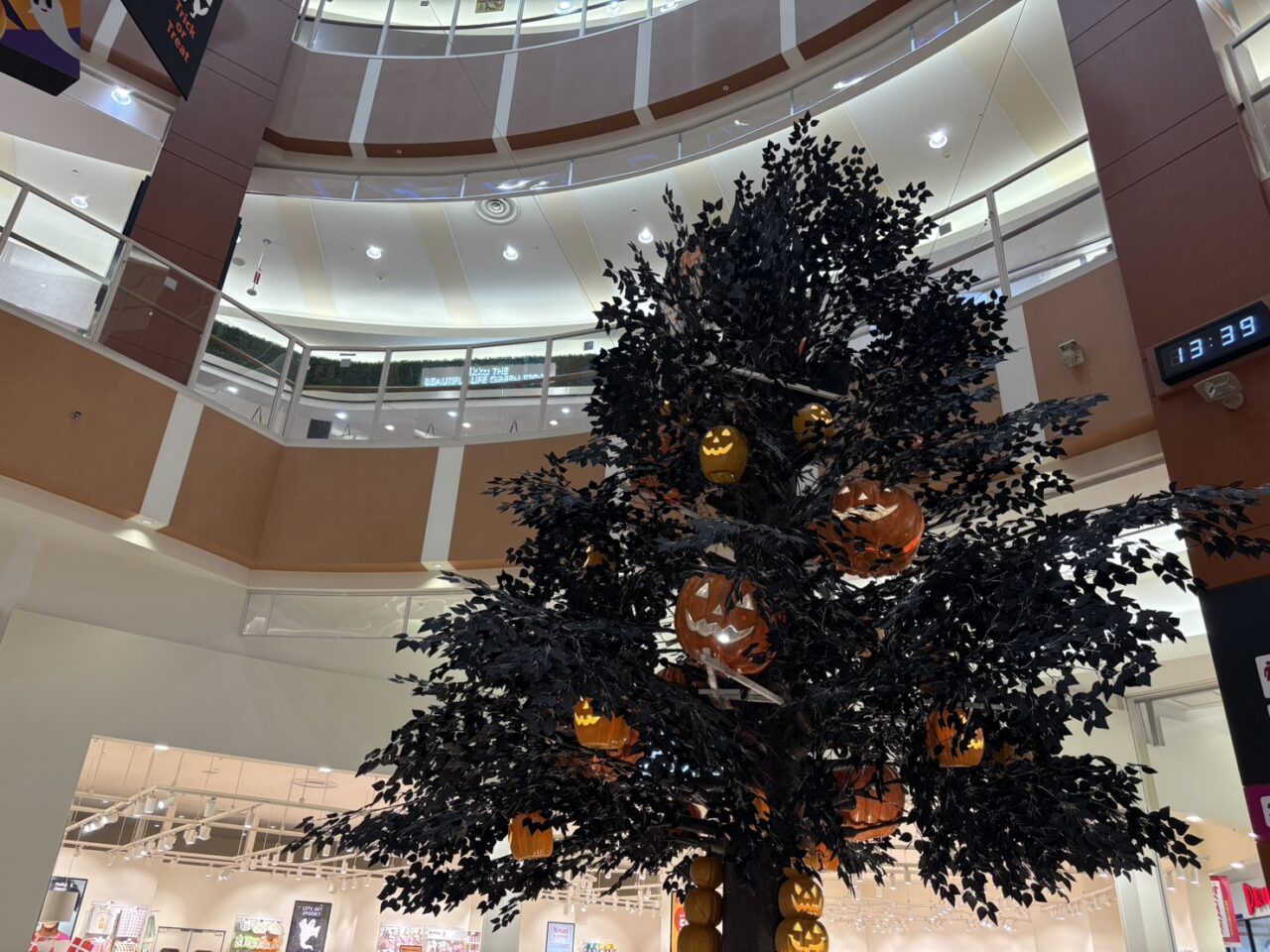 イオンモール札幌発寒