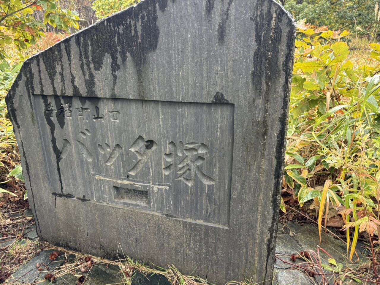 バッタ塚