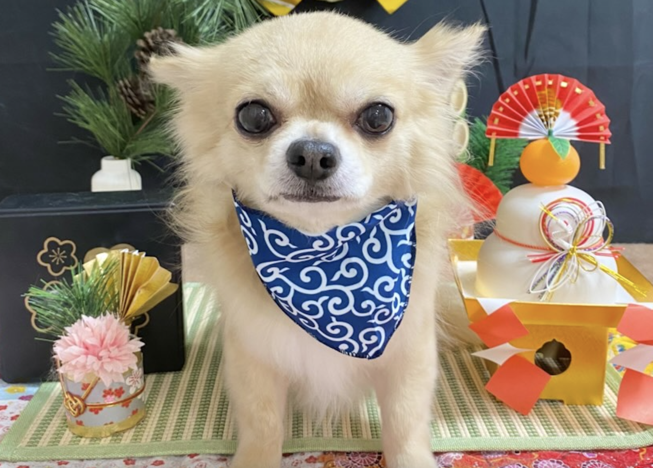 ラブワンコ発寒店