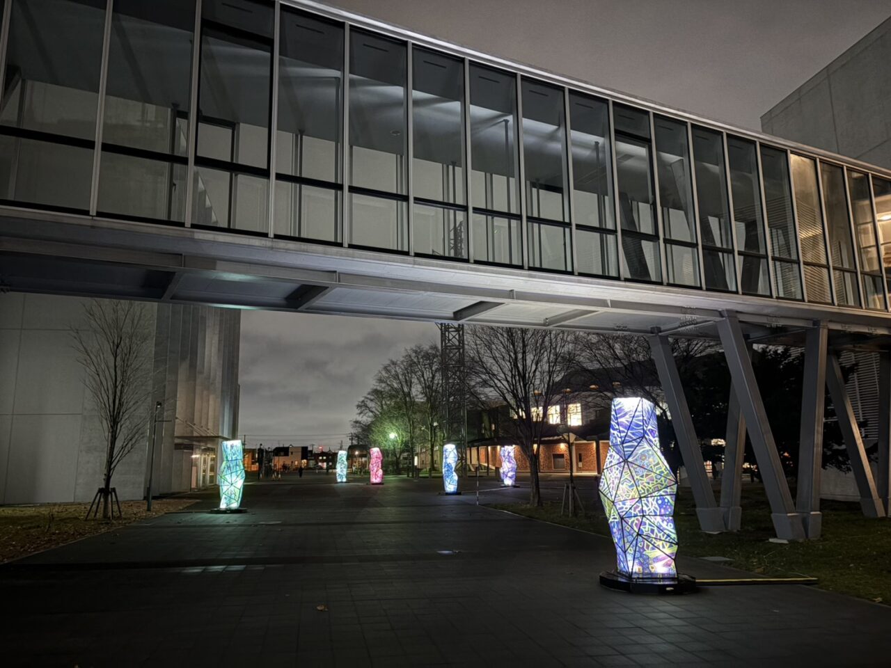 HUSキャンパス・イルミネーション2025