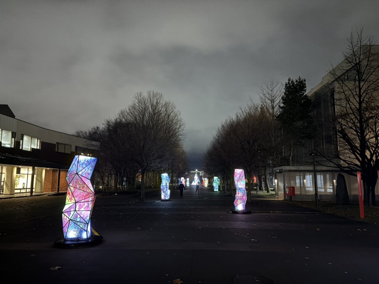 HUSキャンパス・イルミネーション2025