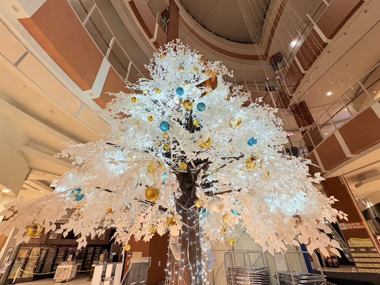 イオンモール札幌発寒