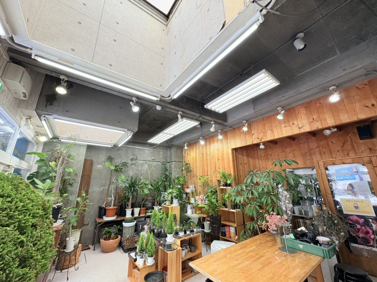 花屋フローラル花づくし