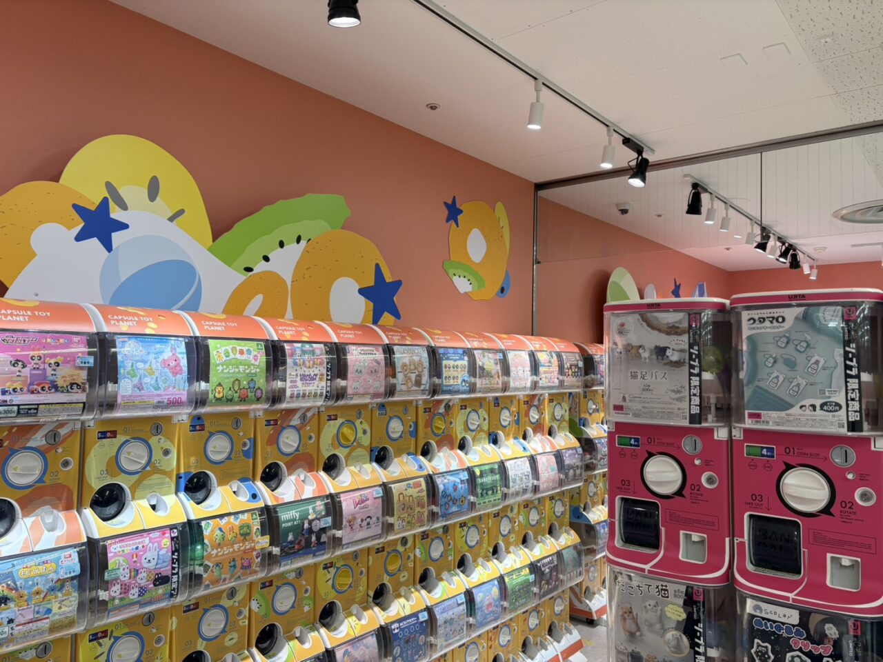 #C-pla CiiNA CiiNA琴似店