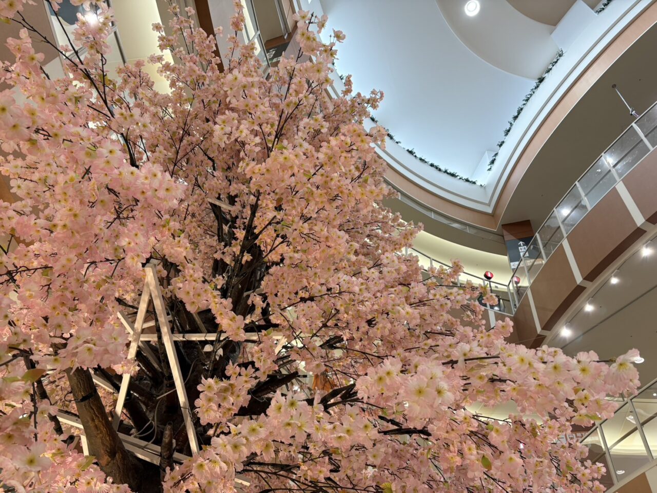 イオンモール札幌発寒